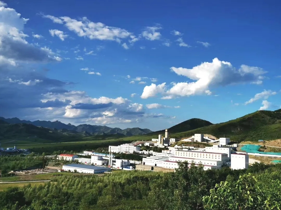 �й�����������(304am-VIP��֤)����-Official Platform