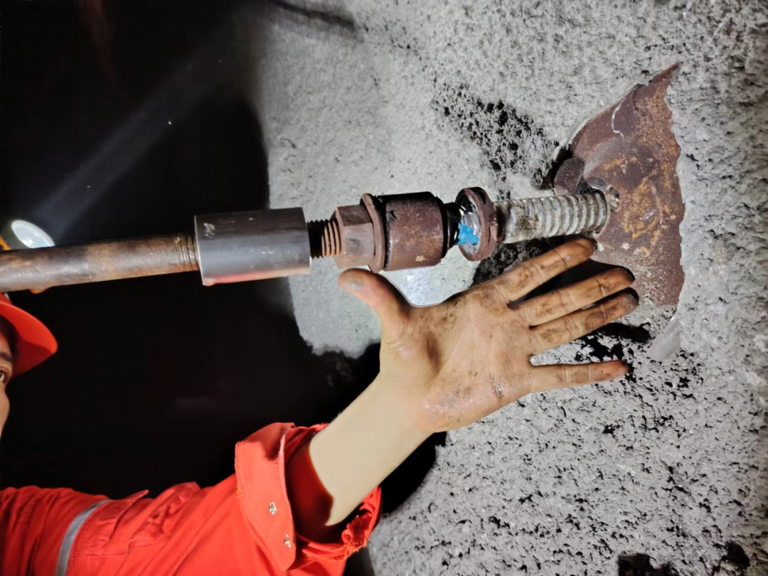 �й�����������(304am-VIP��֤)����-Official Platform