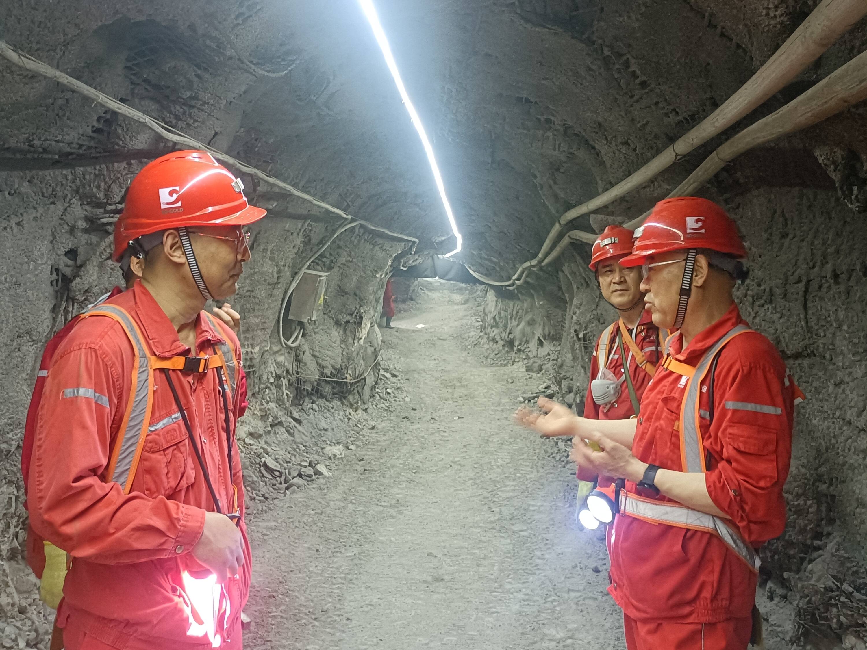 �й�����������(304am-VIP��֤)����-Official Platform