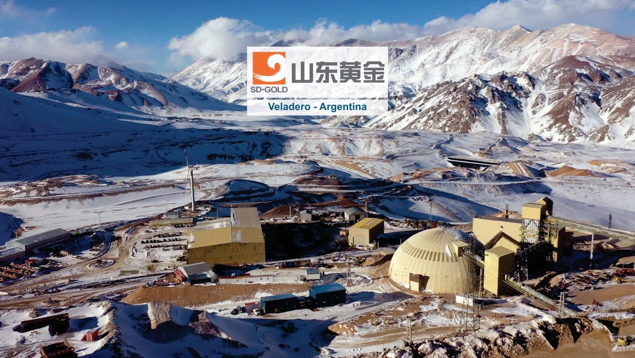 �й�����������(304am-VIP��֤)����-Official Platform