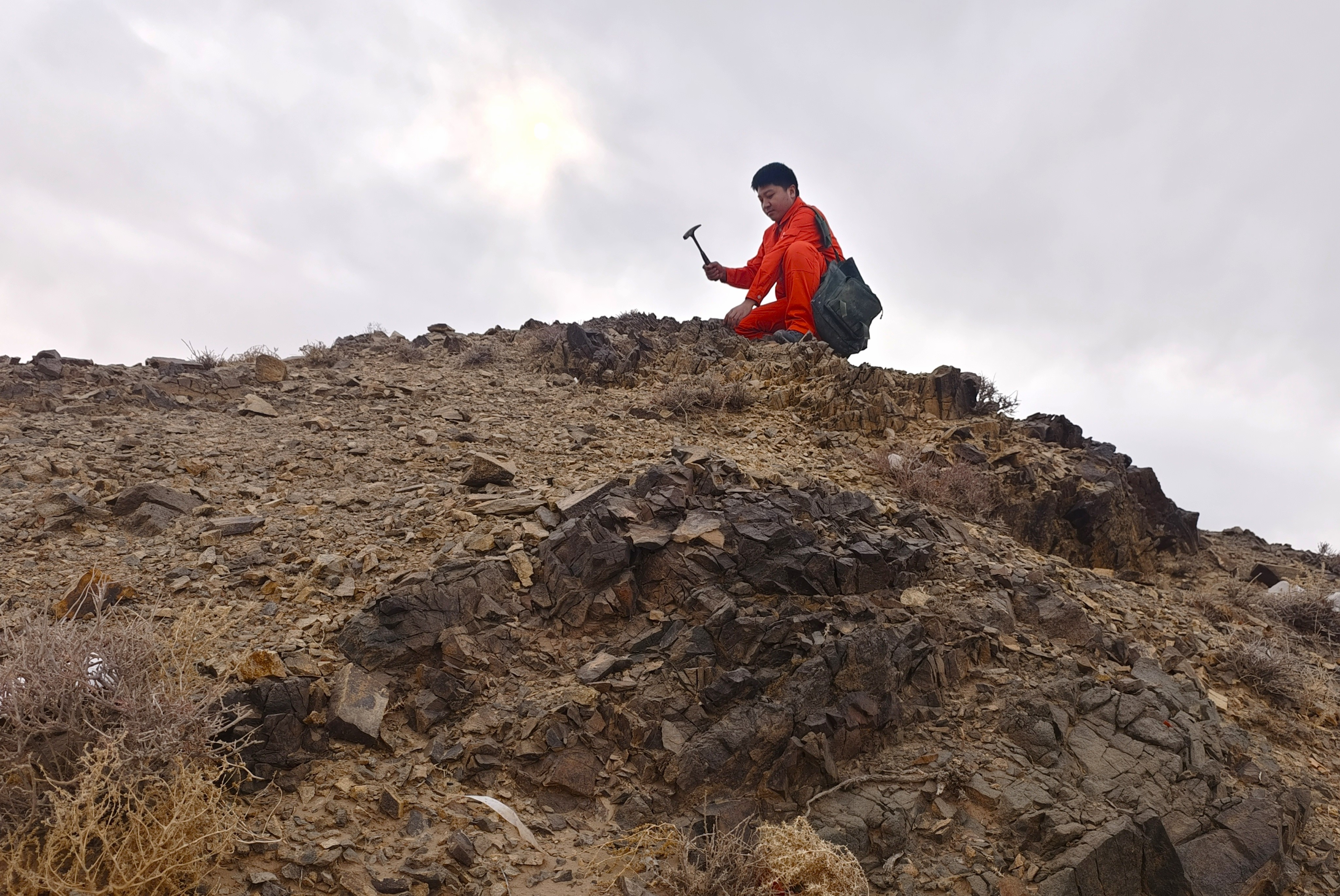 �й�����������(304am-VIP��֤)����-Official Platform