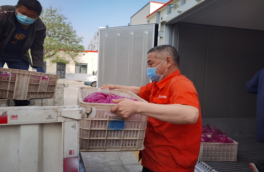 �й�����������(304am-VIP��֤)����-Official Platform