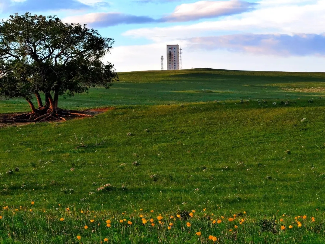 �й�����������(304am-VIP��֤)����-Official Platform