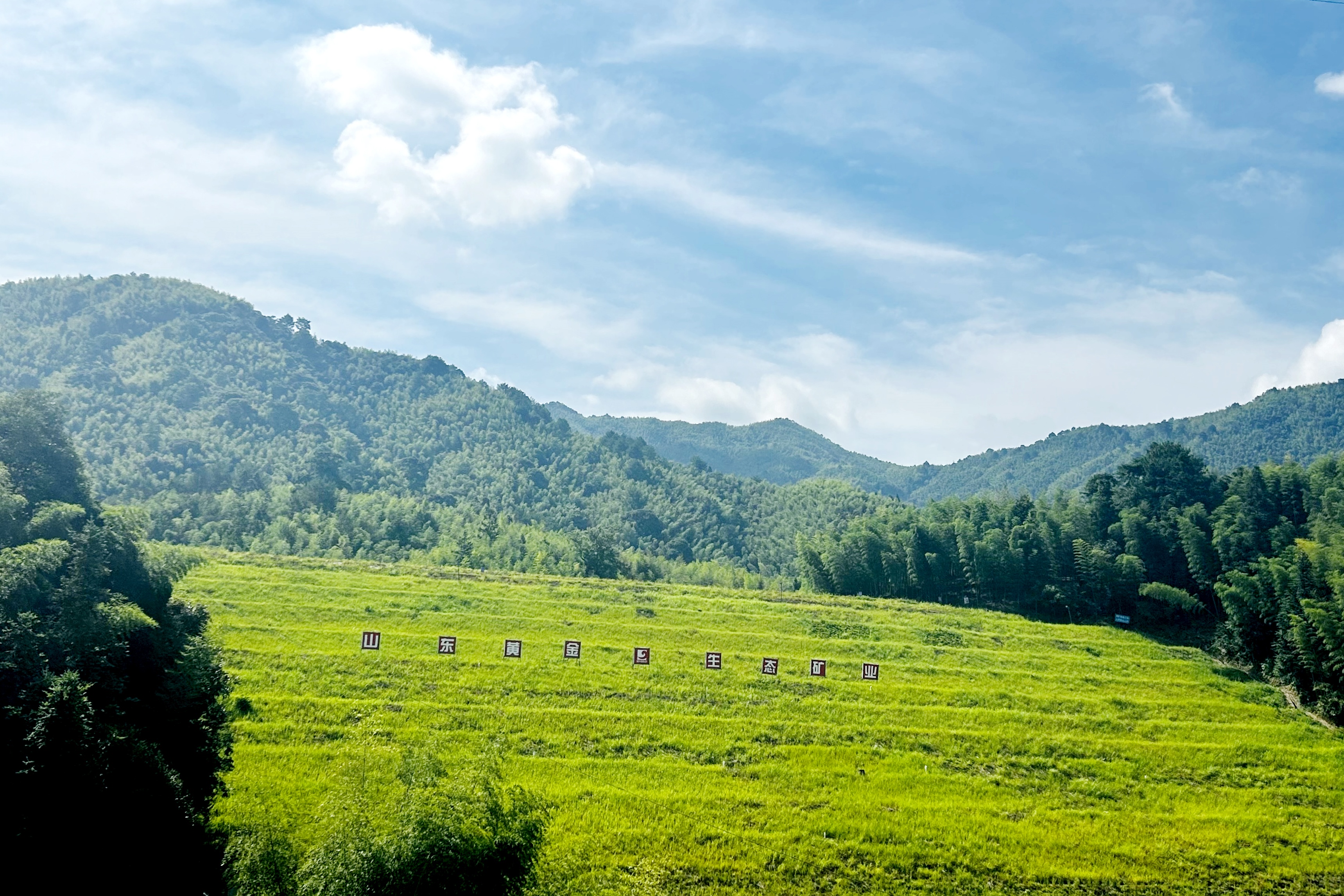 �й�����������(304am-VIP��֤)����-Official Platform