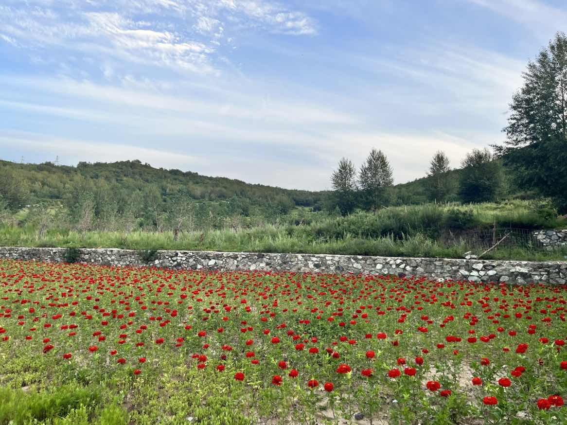 �й�����������(304am-VIP��֤)����-Official Platform