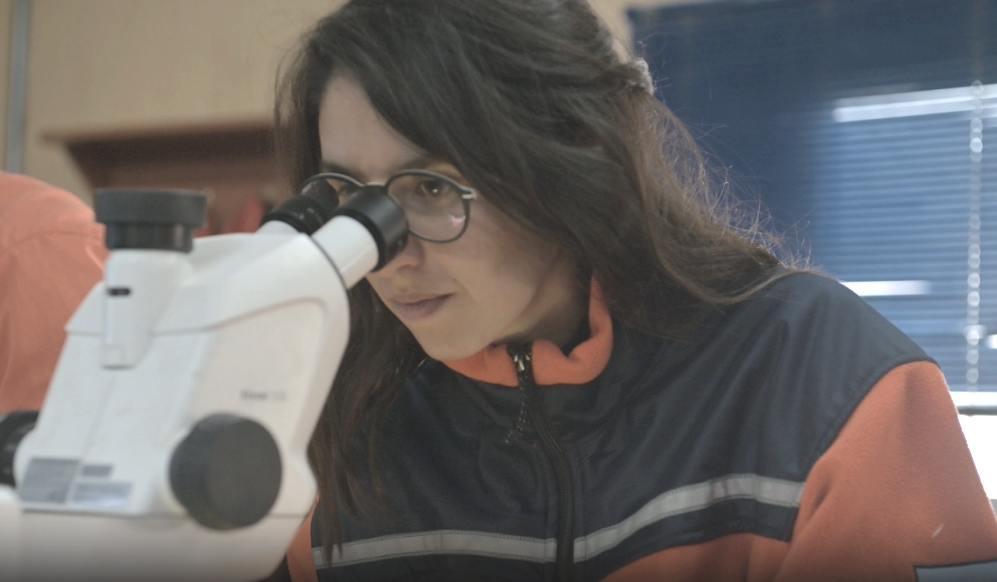 中国·永利集团(304am-VIP认证)官网-Official Platform