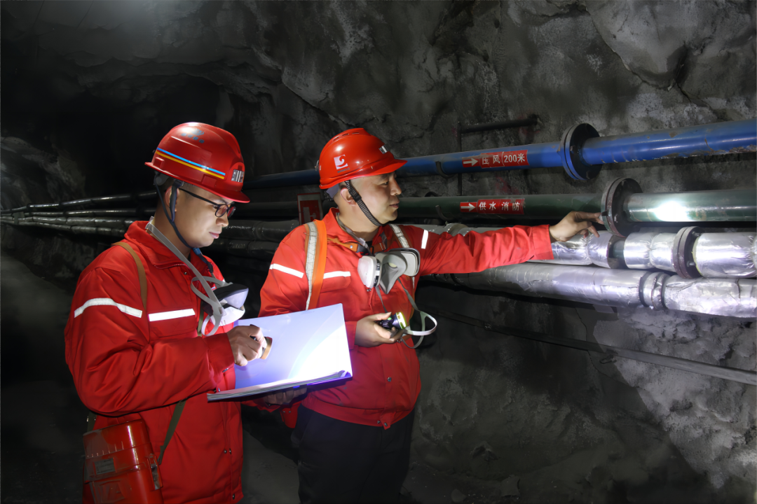 �й�����������(304am-VIP��֤)����-Official Platform