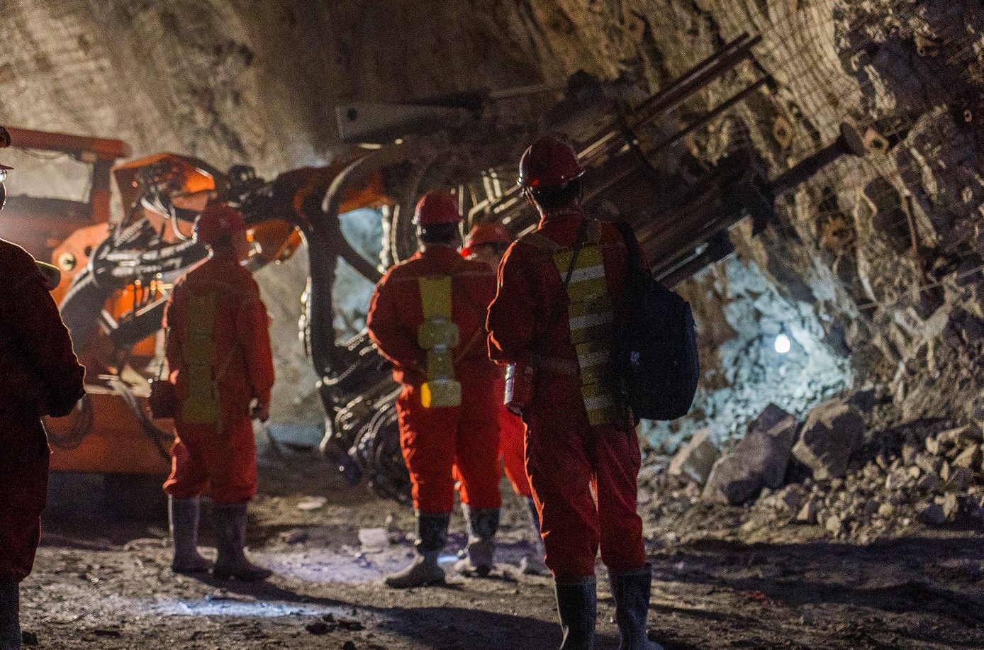 �й�����������(304am-VIP��֤)����-Official Platform