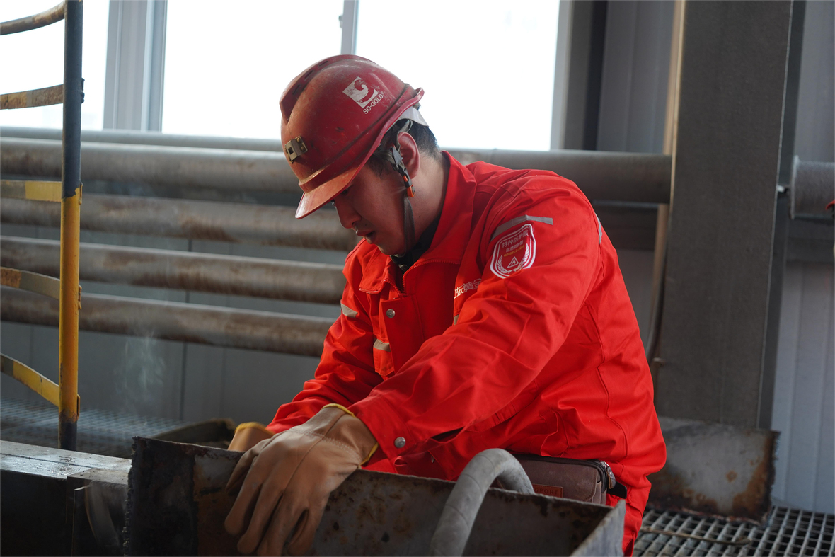 �й�����������(304am-VIP��֤)����-Official Platform