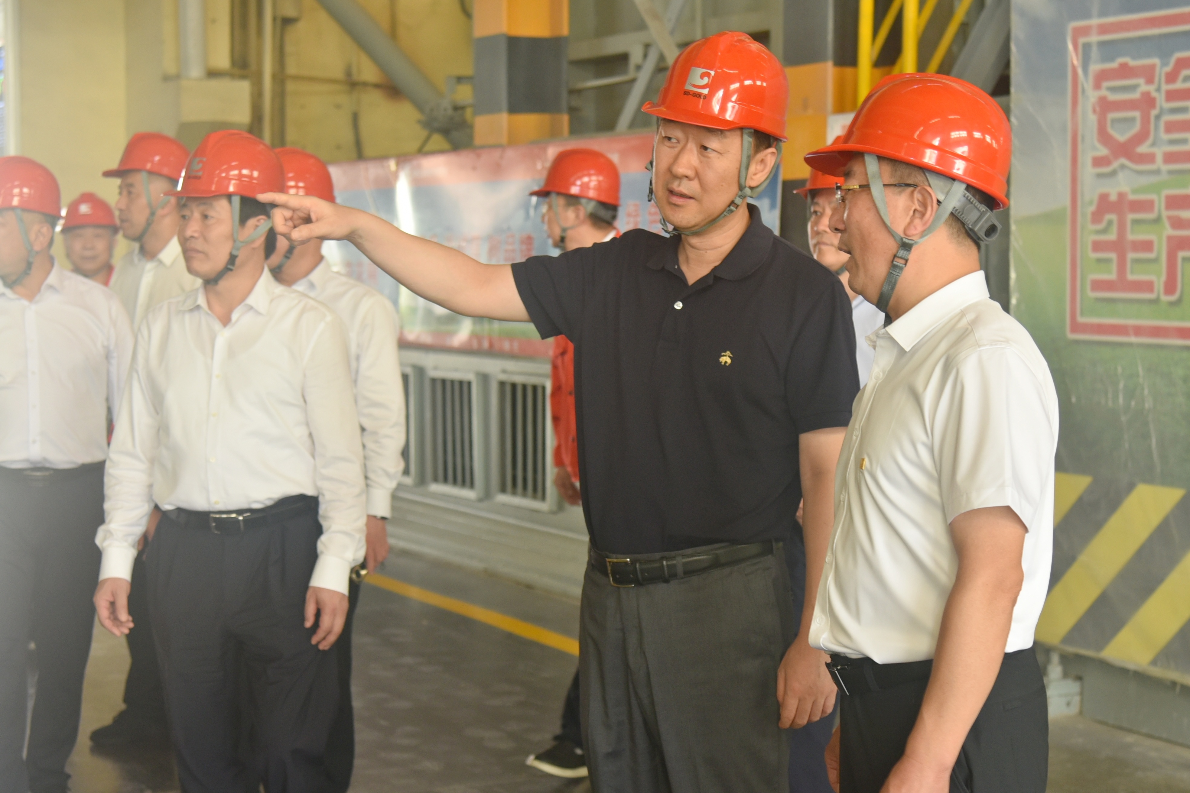 �й�����������(304am-VIP��֤)����-Official Platform