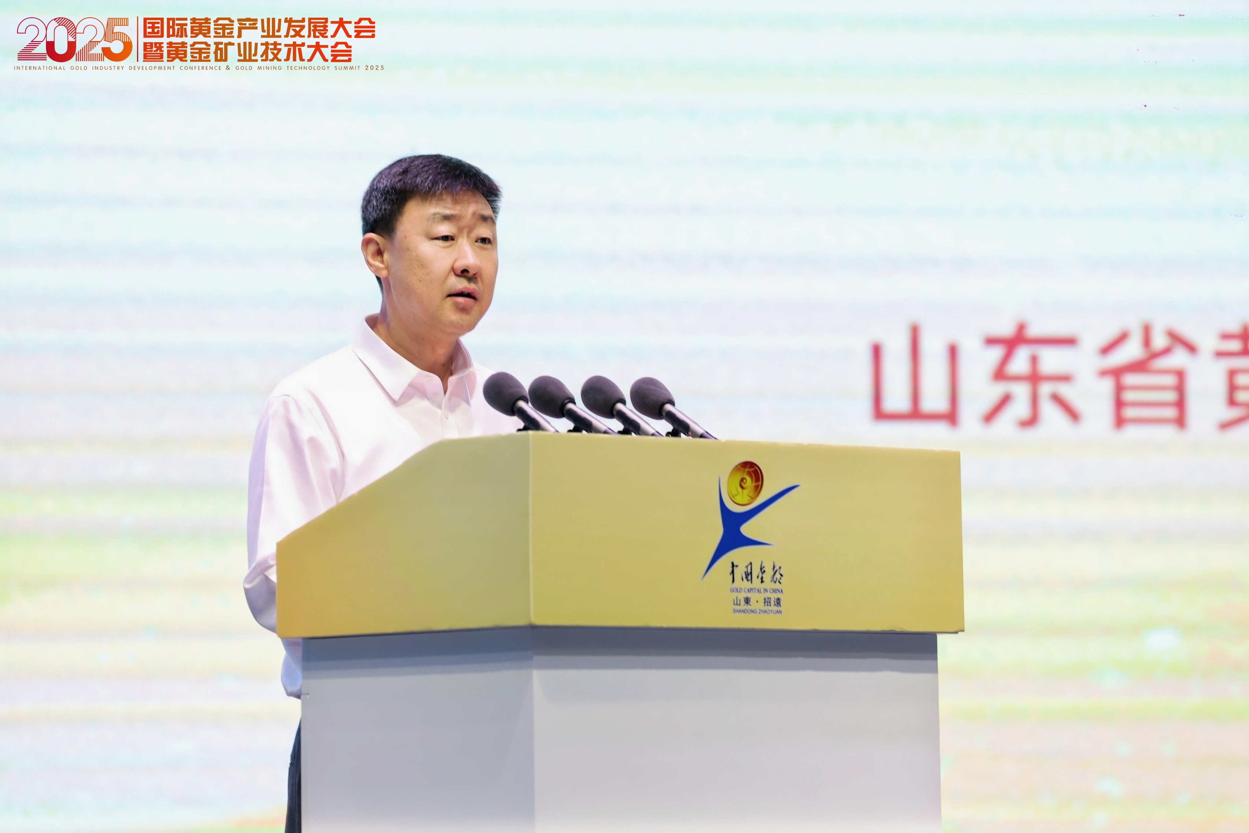 �й�����������(304am-VIP��֤)����-Official Platform