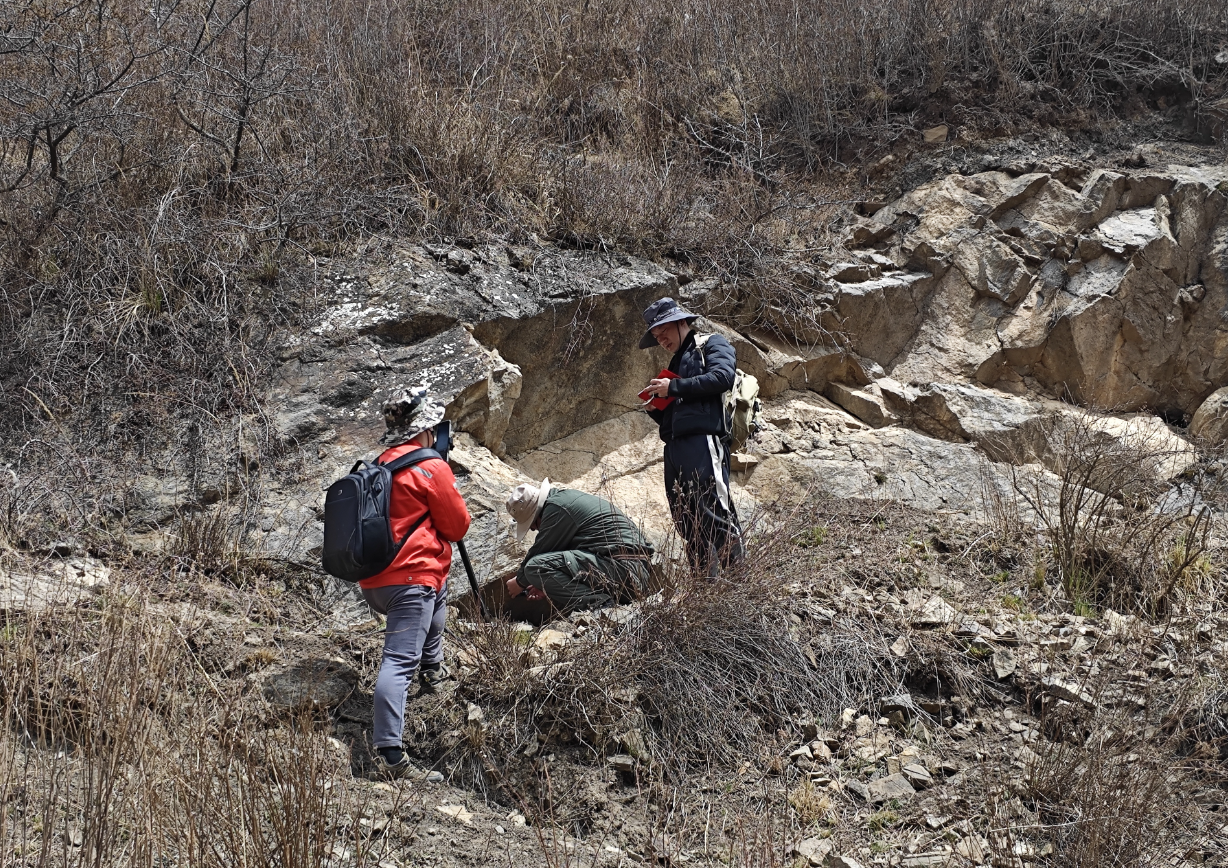 �й�����������(304am-VIP��֤)����-Official Platform