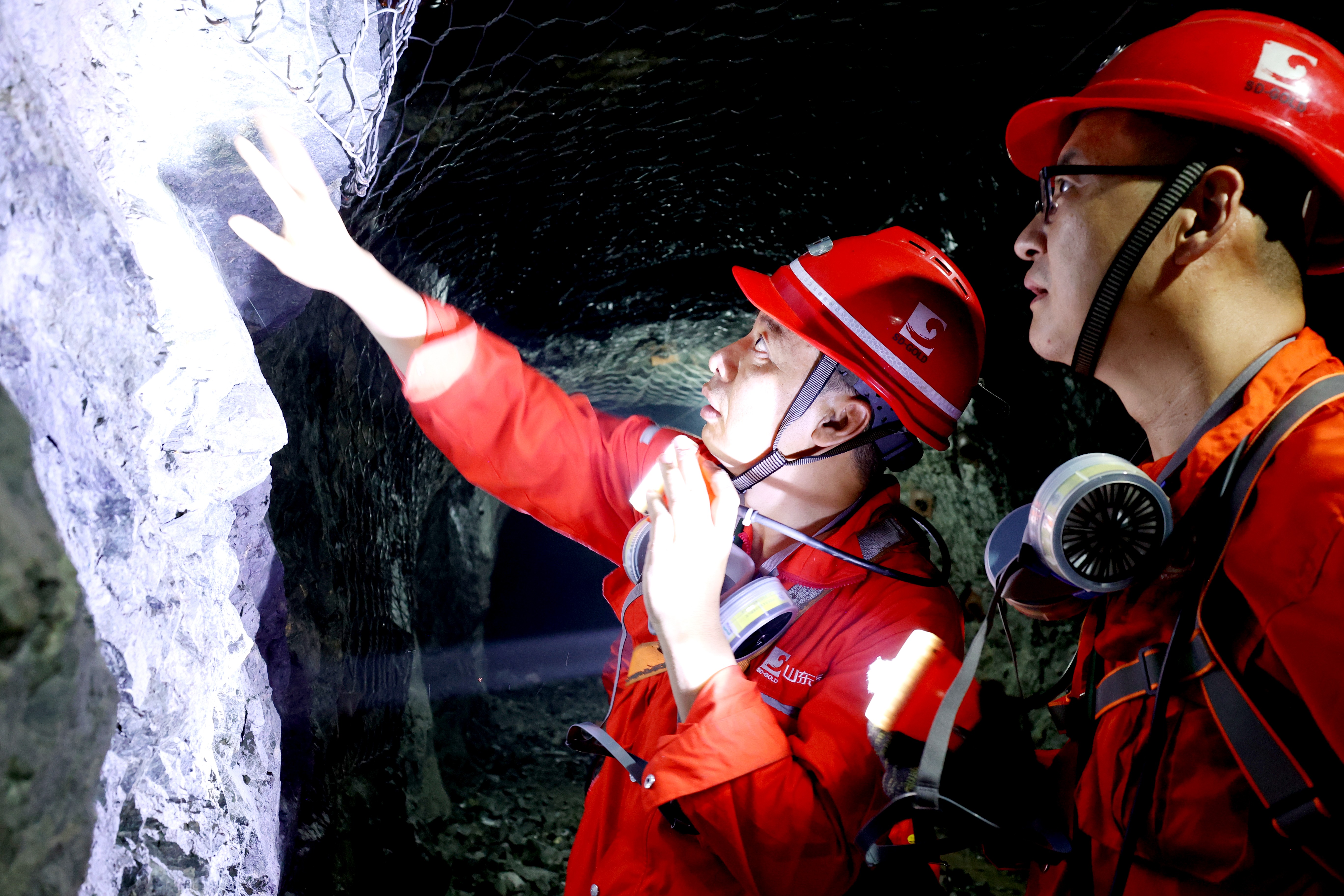 �й�����������(304am-VIP��֤)����-Official Platform